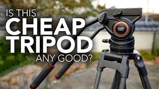 Is This Cheap Video Tripod Any Good? Cayer BV25LH Unboxing & Review