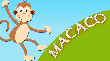 O que que o macaco se alimenta?