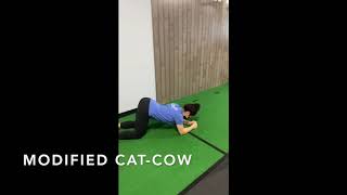 Modified Cat Cow