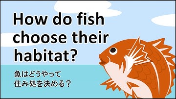 Nurture is above nature: nursery experience determines habitat preference of red sea bream juveniles