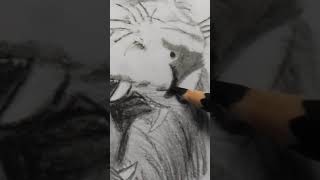 The Lion Roar The Lion Sketch The Lion Roar The Lion Sketch