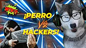¡Este HACKER de WARZONE es TAN MALO que da RISA! ?