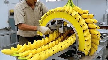 Most Satisfying Machines and Workers Operating at INSANE Levels!