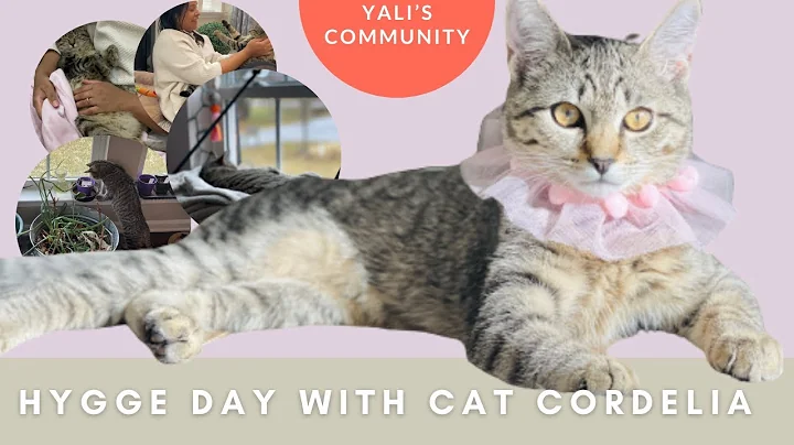 Hygge Day with Our Cat Cordelia! Cat Garden Walk, Playing, Bird Watching, Plants, & Snuggles