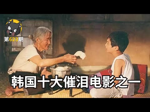 【看电影了没】空巢老人和她的熊外孙，韩国十大催泪电影之一《外婆的家》