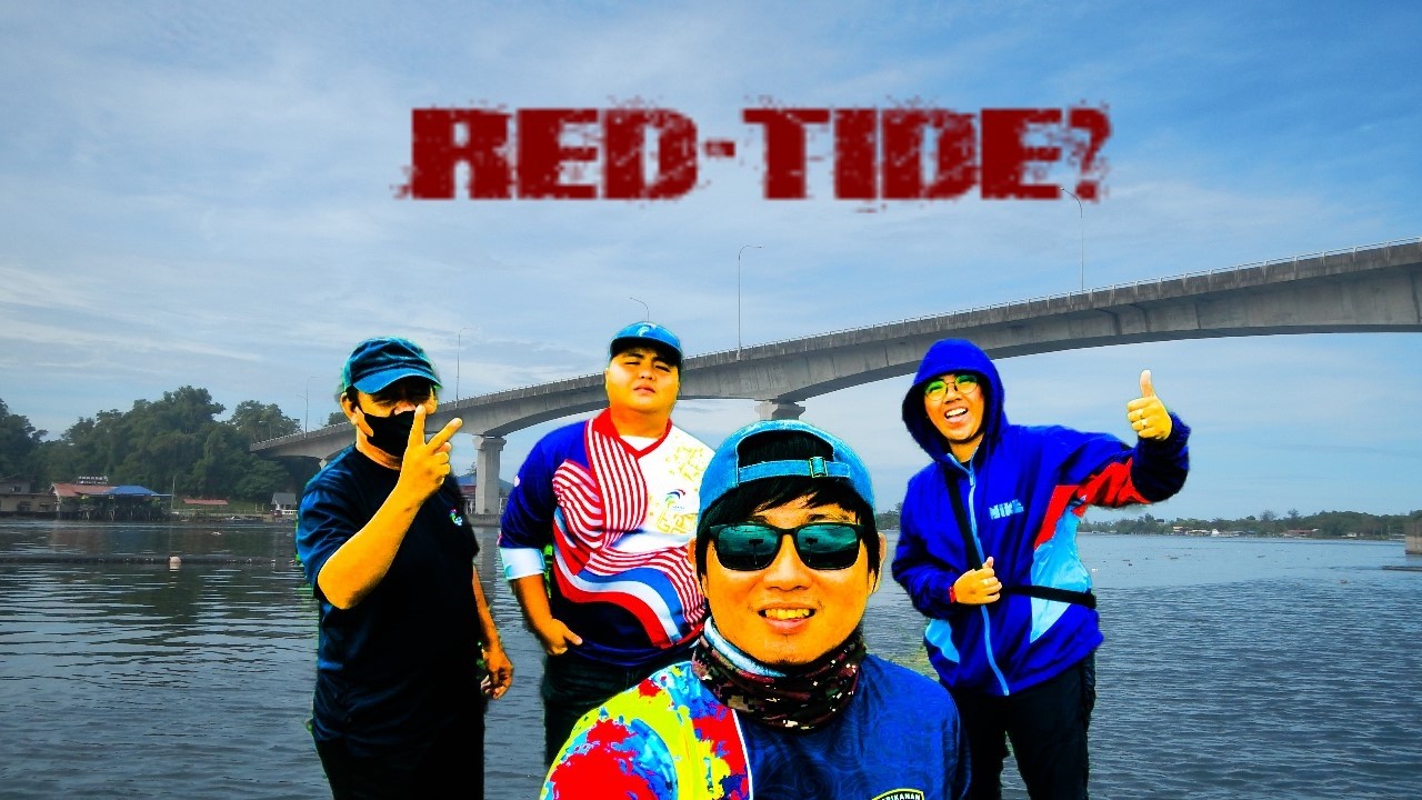 RED-TIDE MENYERANG TUARAN? - SAMPEL AIR LAUT KAMI AMBIL UNTUK PEMERIKSAAN