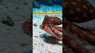 👉“इस जानवर के 3 दिल होते हैं 😳 | Octopus Facts जो आपने कभी नहीं सुने!”