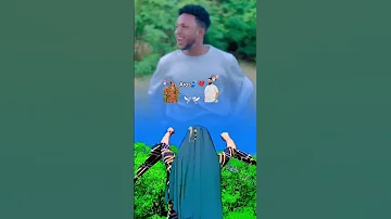 Cabdi Wali Xasan Dhuux Io Hambalyo Sxb Ken Cabdalle Burane 
