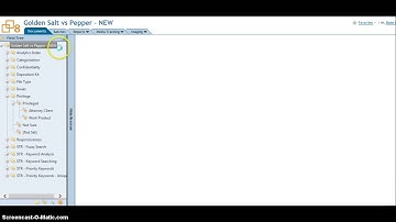 Relativity - Workflow and Navigation