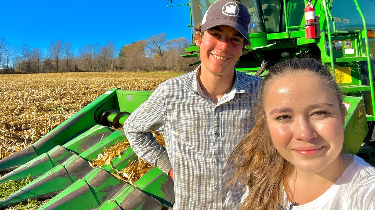 My First Corn Harvest!!! - YouTube