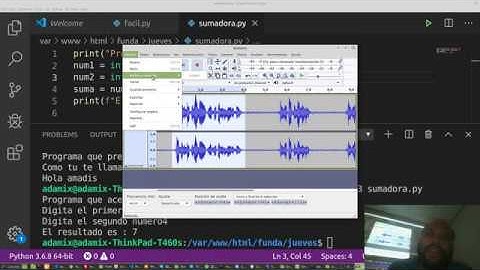 Programas que hablan con python