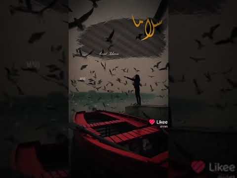 تحية لكل القلوب الطيبة الرحيمة