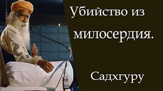 Как помочь тем, кто страдает-Садхгуру #садхгуру #sadhguru #jaggi#смерть