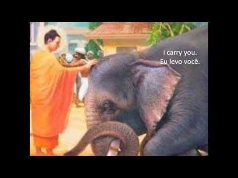 ein elefant für dich