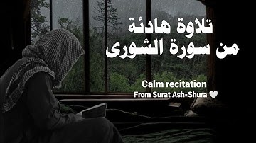 تلاوة هادئة من سورة الشورى ❤️ / القارئ طُوَيْلب