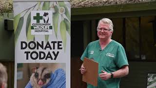 Birds of Prey | Currumbin Wildlife Hospital Vet Talk by Currumbin Wildlife Hospital 68 views 3 years ago 19 minutes