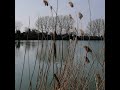 Viaggi di pesca : Lago verde ( Fe )