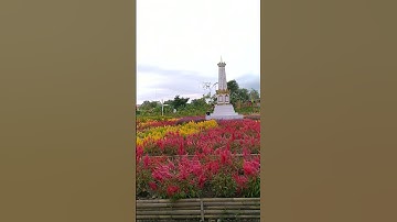 Taman Bunga di Jogja Bagus Banget Dong! #shortvideo #shorts #short #jogja #jogjakarta #bunga