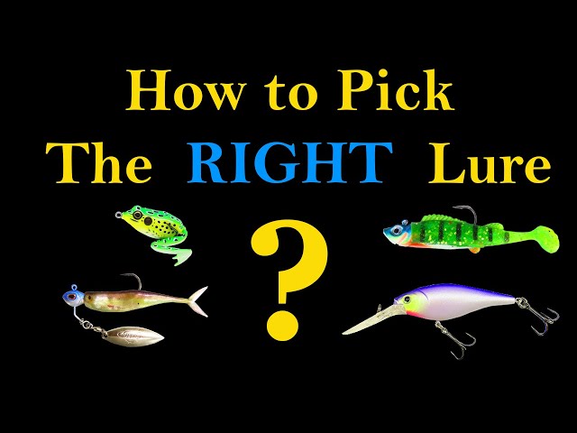 How to Pick the Right Fishing Lure (Best Way to Catch a Fish) 
