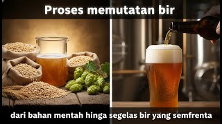 The beer making process – from raw ingredients to the perfect glass of beer