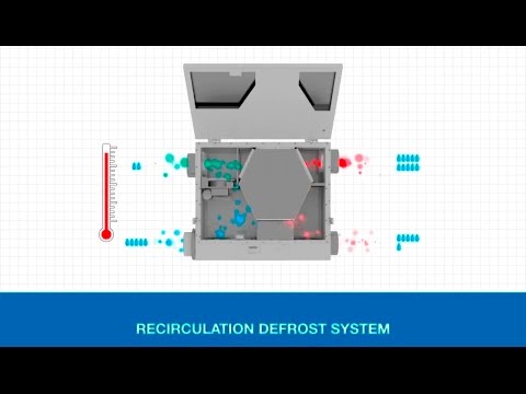 Видео: Идентификация и характеристика ERV-W-подобных последовательностей у видов Platyrrhini дает новое понимание эволюционной истории ERV-W у приматов