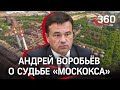 «Чистота важна!» Андрей Воробьёв обсудил судьбу «Москокса» с Росприроднадзором