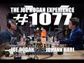 Joe Rogan Experience #1077 - Johann Hari