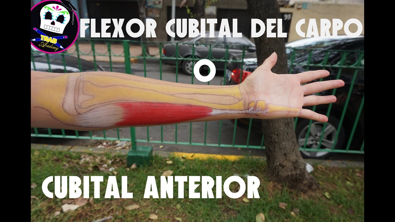 Tendinitis cubital posterior tratamiento
