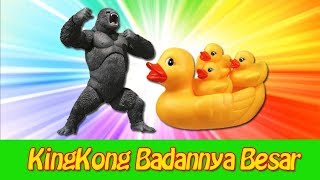 Download Lagu Anak Sekolah Minggu Kingkong Badannya Besar Video MP3 Lagu Anak Sekolah Minggu Kingkong Badannya Besar