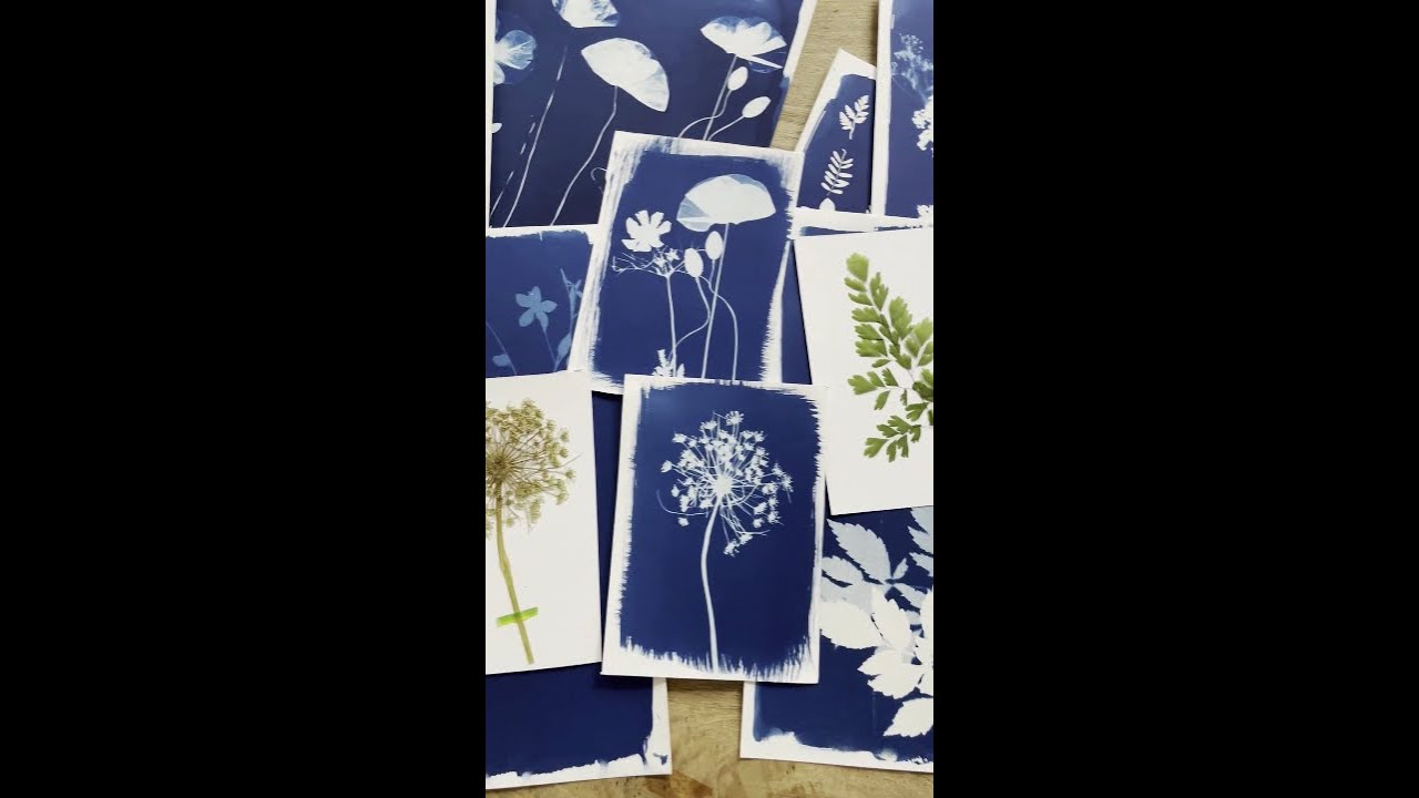 Cyanotype : trucs et astuces - j'ai testé un DIY étonnantLes