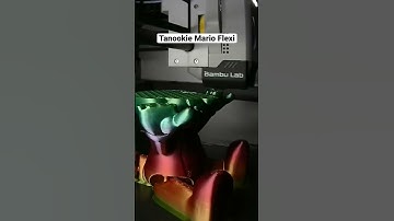 3D printed Tanooki Mario! So ready for the Super Mario Movie 🍿 #3dprinting #timelapse #mario