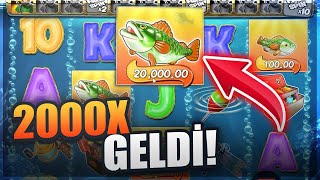 BONUS HUNT 2000X ÖDEME ALDIK #EkremAbi #1001Surat