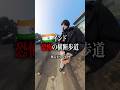 【最後まで見て】インドの横断歩道#海外 #海外ひとり旅 #インド #横断歩道#shorts