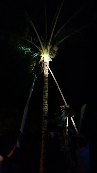 asik mancing malah dapat ular piton 😱🙏👍