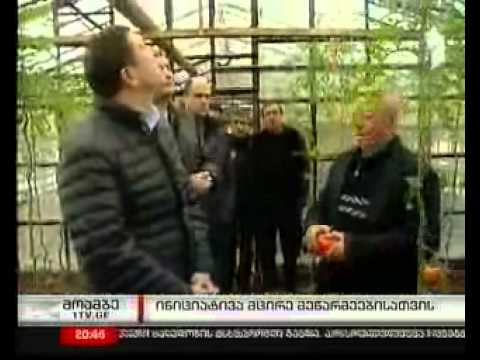 გიგი უგულავამ სათბური დაათვალიერა