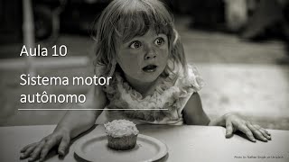 Videoaula 10 Sistema Nervoso Autônomo