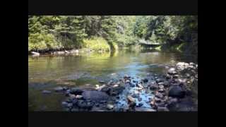 Michigan Sasquatch Vocals-Vol. 2 Four Moan Howl