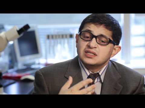 Dr. Mansoor Husain - Heart Cells