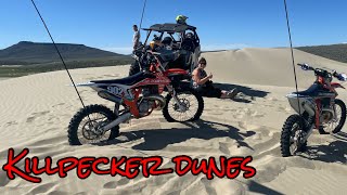 Sand dunes in Wyoming 🤷‍♂️Killpecker dunes didn’t disappoint over 10,000 acres of free ride!