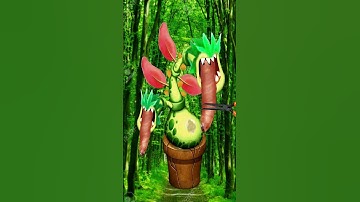 Plant Monster got ticks and maggots ASMR