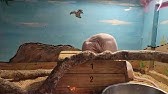 めっちゃおもろい動物園 に行ってきました Youtube めっちゃおもろい動物園 に行ってきました Youtube