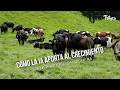 Como la IA aporta al crecimiento de la producción lechera- TvAgro por Juan Gonzalo Angel