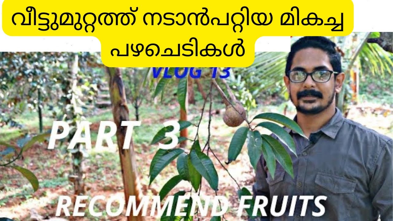 വീട്ടുമുറ്റത്തു നടാൻപറ്റിയ മികച്ച ഫ്രുട്ട്‌സ് ഇനങ്ങൾ ഏത് ഒക്കെ?/Recommend fruits/Part 3/kennas vlog
