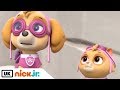 Paw Patrol | Pups Save a Flying Kitty | Nick Jr. UK