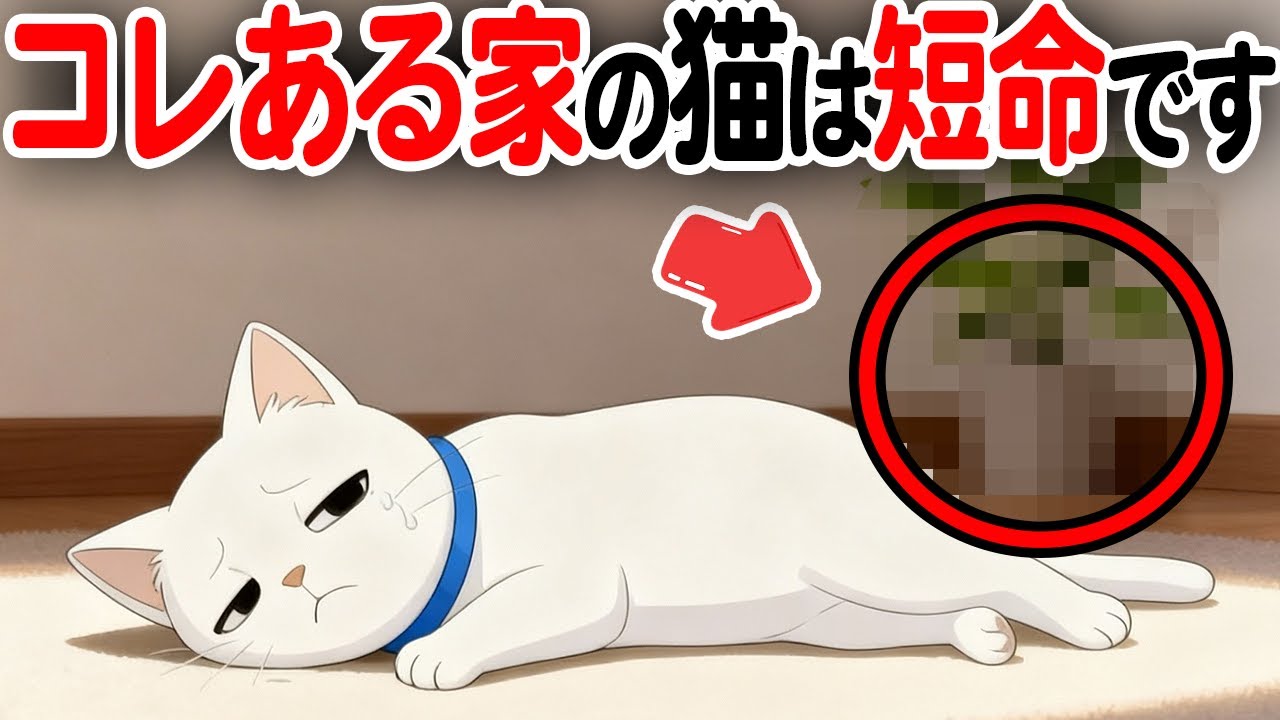 コレがある家の猫は短命です【猫雑学】