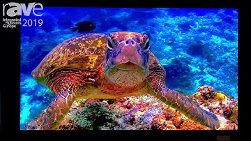 ISE 2019: Samsung Demos The Wall LED Display With Limitless Size and Possibilities