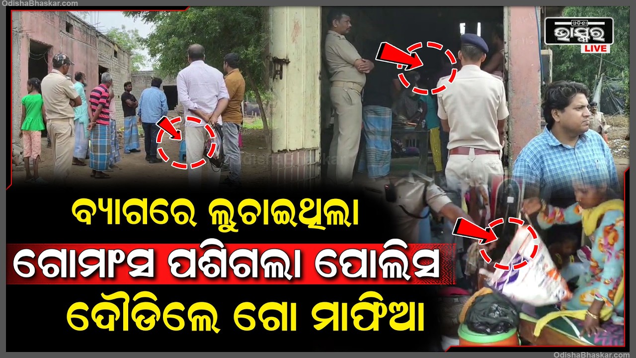ବ୍ୟାଗରେ ଲୁଚାଇଥିଲେ ଗୋମାଂସ...ପଶିଗଲା ପୋଲିସ, ଛାନିଆରେ ଦୌଡିଲେ ଗୋମାଫିଆ...