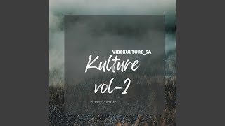 Video thumbnail of "Vibekulture Sa - Flight Mode"