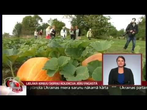 Video: Uzņēmējdarbības aplikšana ar nodokļiem: pazīmes, režīmi, formas