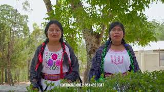 ORGANO JUVENTUD MIXTECO EL SON DE AMOLTEPEC chords